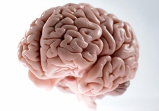 MIT boffins develop new brain chip