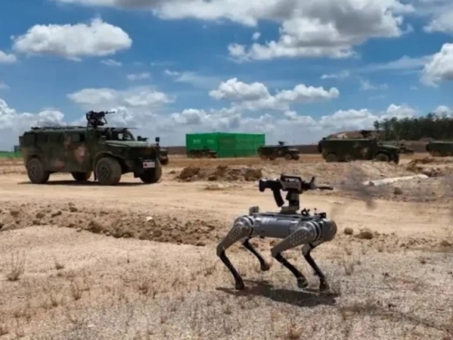 Chinese give a robot dog a gun