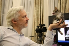 Swedes gives up on Assange