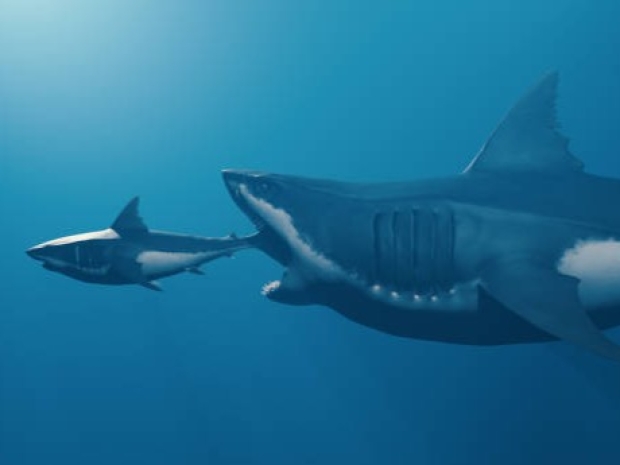 Meta splashes more than $2 billion on Manus