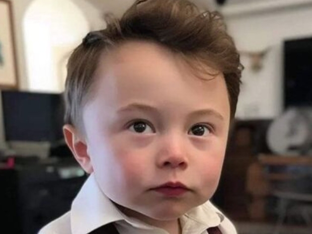 Tech billionaires using surrogacy to build tribes in their own image