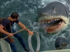 Palo Alto Networks swallows CyberArk