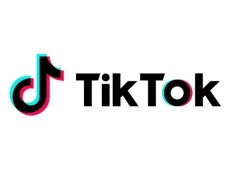 Tik Tok plans to protect US data do not go far enough