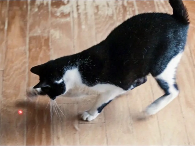 Aussie boffins get quantum gates running on a single atom